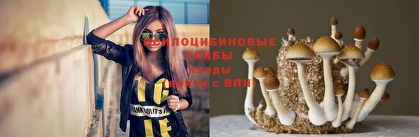 сатива Армянск