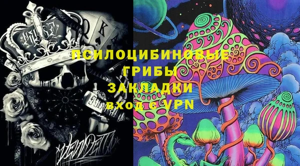 a pvp Аркадак