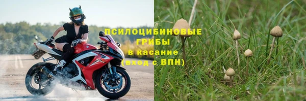 a pvp Аркадак