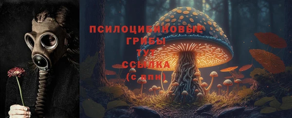 a pvp Аркадак