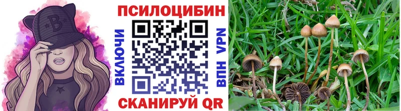 Купить закладки  Лесозаводск  Галлюциногенные грибы Psilocybine cubensis 